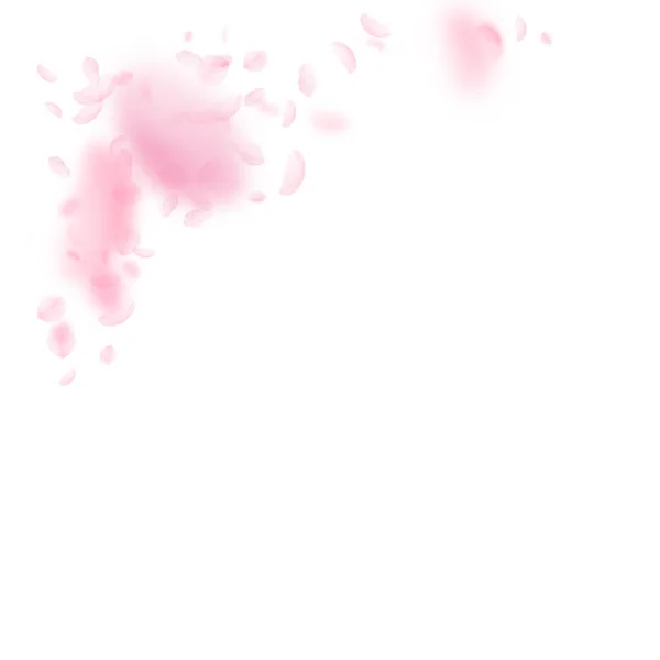 樱花花瓣飘落 浪漫的粉色花朵角落 白色正方形背景上飘扬的花瓣 浪漫的概念 雅致的婚宴请柬 — 图库照片