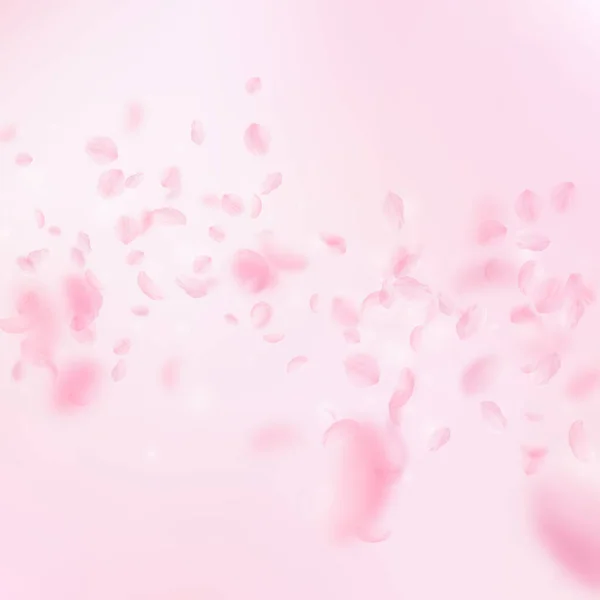 桜の花びらが落ちてきた ロマンチックなピンクの花が降る雨 ピンクの四角形の背景に花びらを飛んで 恋愛概念 印象的な結婚式の招待状 — ストック写真