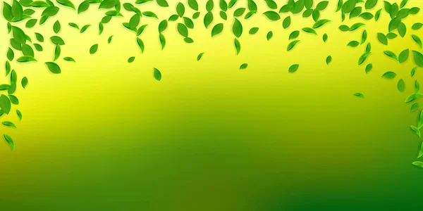 Падає Зелене Листя Свіже Чайне Хаотичне Листя Літає Весняне Листя — стокове фото