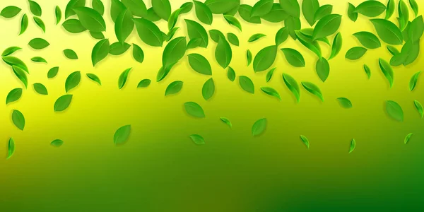 Padající Zelené Listí Čerstvý Čaj Chaotické Listí Létání Jarní Listí — Stock fotografie
