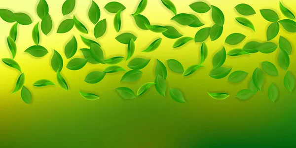 Падающие Зеленые Листья Летают Свежие Листья Чая Весенняя Листва Танцует — стоковое фото