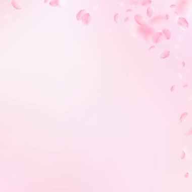 Sakura yaprakları dökülüyor. Romantik pembe çiçek köşesi. Pembe kare arka planda uçan taç yaprakları. Aşk, romantizm kavramı. Şaşırtıcı düğün davetiyesi..
