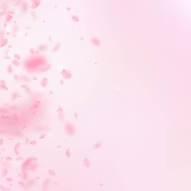 Sakura yaprakları aşağı düşen. Romantik pembe çiçekler degrade. Yaprakları pembe kare arka plan üzerinde uçan. Aşk, romantizm kavramı. Gerçek düğün davetiyesi.