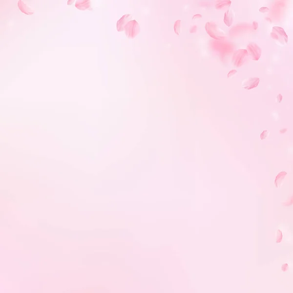 Пелюстки Сакури Падають Романтичні Рожеві Квіти Розі Летючі Пелюстки Рожевому — стокове фото