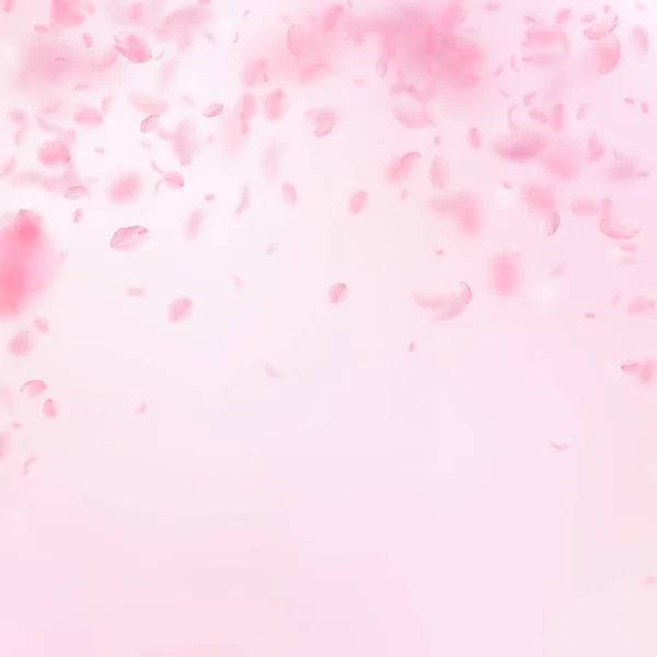 樱花花瓣落下 浪漫的粉红色花朵落下雨 在粉红色的正方形背景的飞行花瓣 浪漫的概念 可爱的婚礼请柬 — 图库照片