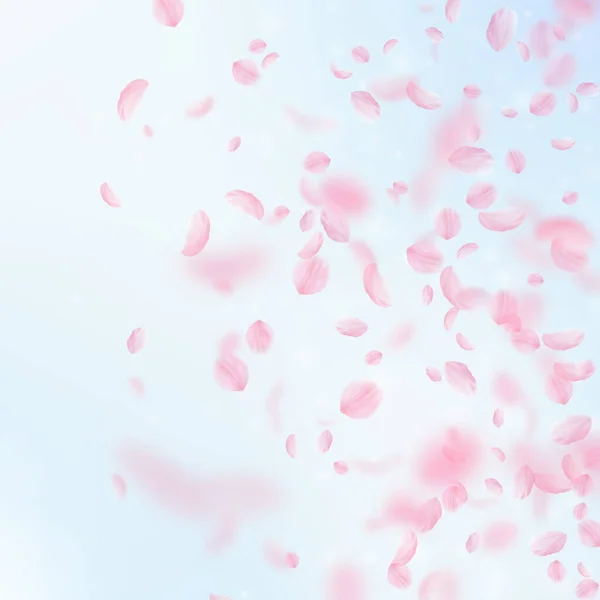 桜の花びらが落ちています ロマンチックなピンクの花のグラデーション 青い空の正方形の背景に花びらを飛んでいます ロマンス概念 晴れやかな結婚式招待状 — ストック写真