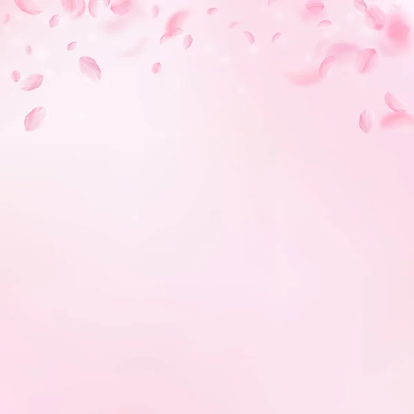樱花花瓣飘落 浪漫的粉色花朵渐变 粉红正方形背景上飘扬的花瓣 浪漫的概念 申请结婚邀请函 — 图库照片