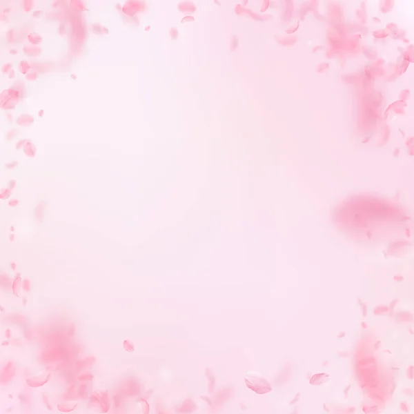 樱花花瓣掉落 浪漫的粉红色花朵小插曲 在粉红色的方形背景飞行花瓣 浪漫的概念 精美的婚礼请柬 — 图库照片