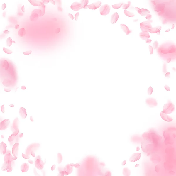 桜の花びらが落ちてきた ロマンチックなピンクの花のヴィネット 白い四角形の背景に空飛ぶ花弁 恋愛概念 絶妙な結婚式の招待状 — ストック写真