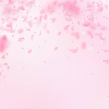 Sakura yaprakları aşağı düşen. Yağmurun romantik pembe çiçekler. Yaprakları pembe kare arka plan üzerinde uçan. Aşk, romantizm kavramı. Güzel düğün davetiyesi.