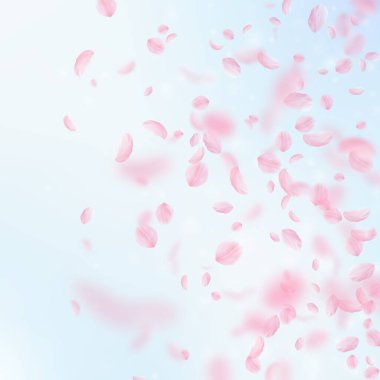 Sakura yaprakları aşağı düşen. Romantik pembe çiçekler degrade. Yaprakları mavi gökyüzü kare arka plan üzerinde uçan. Aşk, romantizm kavramı. Parlak düğün davetiyesi.