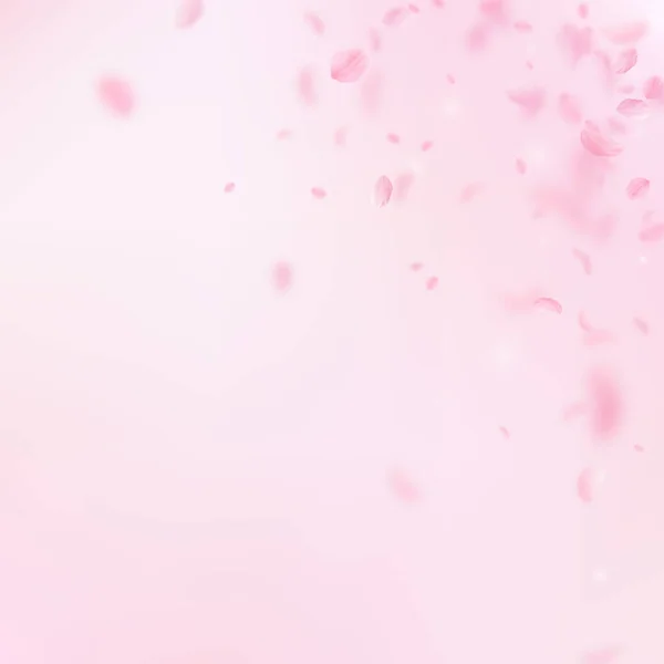 樱花花瓣落下 浪漫的粉红色花角 粉红色正方形背景上的花瓣 浪漫的概念 酷的婚礼请柬 — 图库照片
