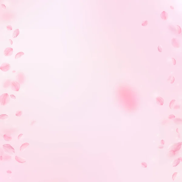 Sakura Petals Falling Romantic Pink Flowers Borders Flying Petals Pink — Stock Photo, Image