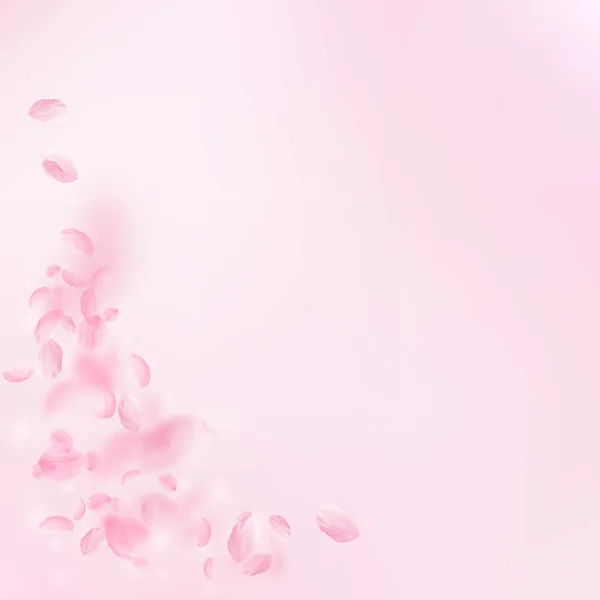 桜の花びらが落ちてきた ロマンチックなピンクの花のコーナー ピンクの四角形の背景に花びらを飛んで 恋愛概念 結婚式の招待状 — ストック写真