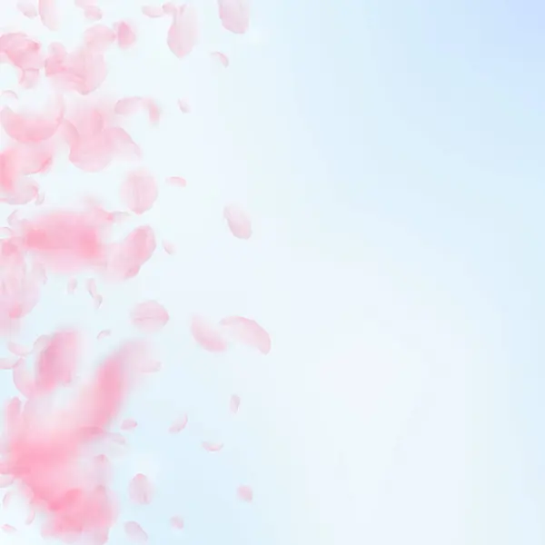 樱花花瓣落下 浪漫粉红色的花朵渐变 在蓝天广场的背景下飞翔的花瓣 浪漫的概念 精彩婚礼请柬 — 图库照片