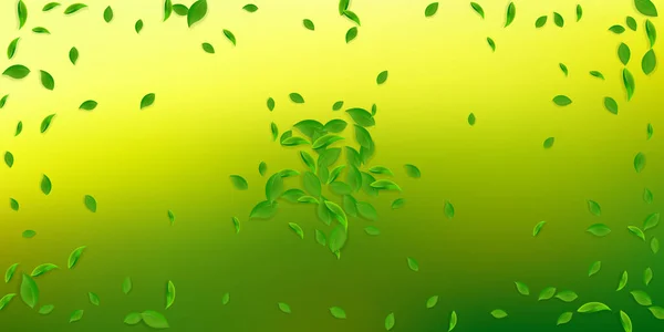 Падающие Зеленые Листья Свежие Чайные Хаотичные Листья Весенняя Листва Танцует — стоковое фото