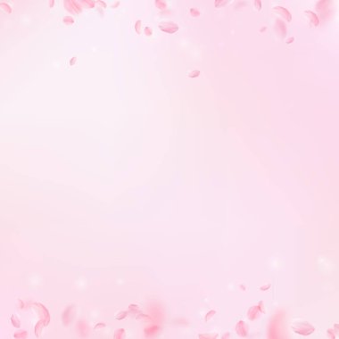 Sakura yaprakları dökülüyor. Romantik pembe çiçek sınırları. Pembe kare arka planda uçan taç yaprakları. Aşk, romantizm kavramı. Hoş bir düğün davetiyesi..