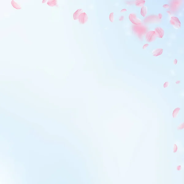 樱花花瓣飘落 浪漫的粉色花朵角落 蓝天正方形背景上飘扬的花瓣 浪漫的概念 奇特的婚宴请柬 — 图库照片