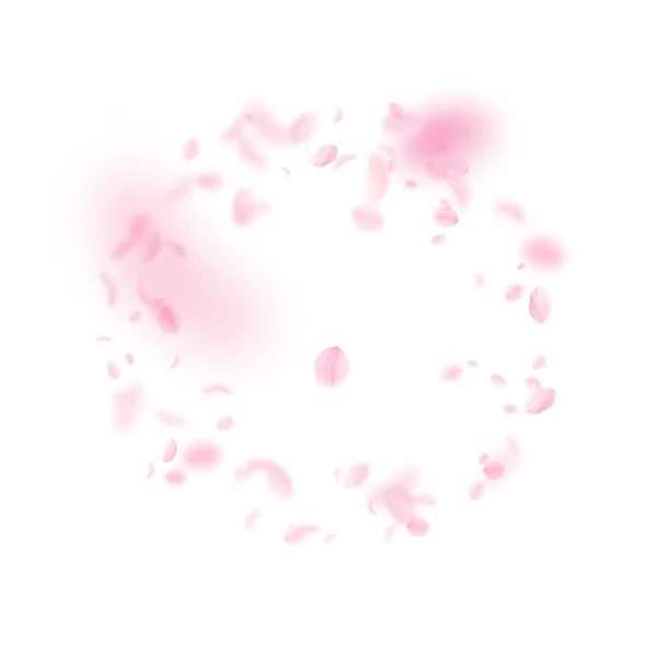 Sakura Lístky Padající Romantické Růžové Květiny Rámec Letící Květy Bílém — Stock fotografie
