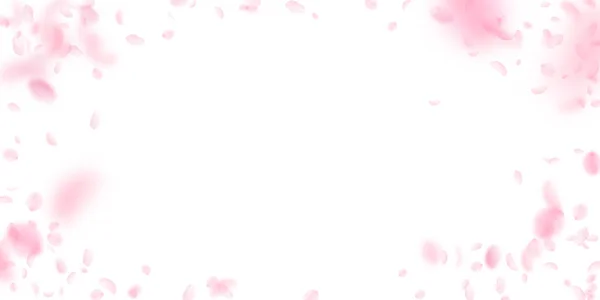 樱花花瓣飘落 浪漫的粉红花朵 白色宽背景上飘扬的花瓣 浪漫的概念 华丽的婚宴请柬 — 图库照片