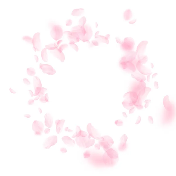 Sakura Petals Falling Romantic Pink Flowers Vignette Flying Petals White — Stock Photo, Image