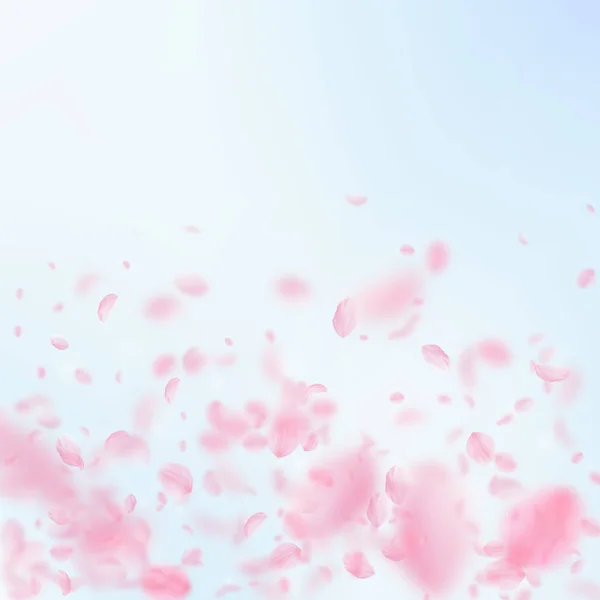 Sakura Bloemblaadjes Vallen Romantische Roze Bloemen Kleurovergang Vliegende Bloemblaadjes Vierkante — Stockfoto