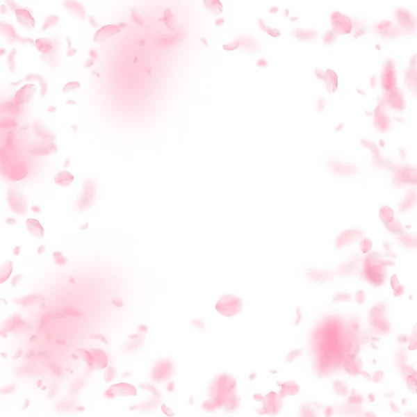 樱花花瓣飘落 浪漫的粉红花朵 白色正方形背景上飘扬的花瓣 浪漫的概念 华丽的婚宴请柬 — 图库照片