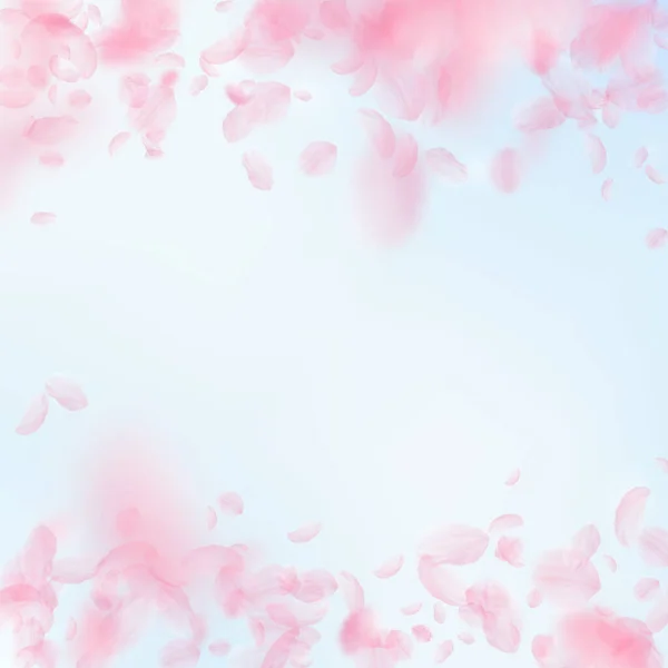 Sakura Petals Falling Romantic Pink Flowers Falling Rain Flying Petals — Stock Photo, Image