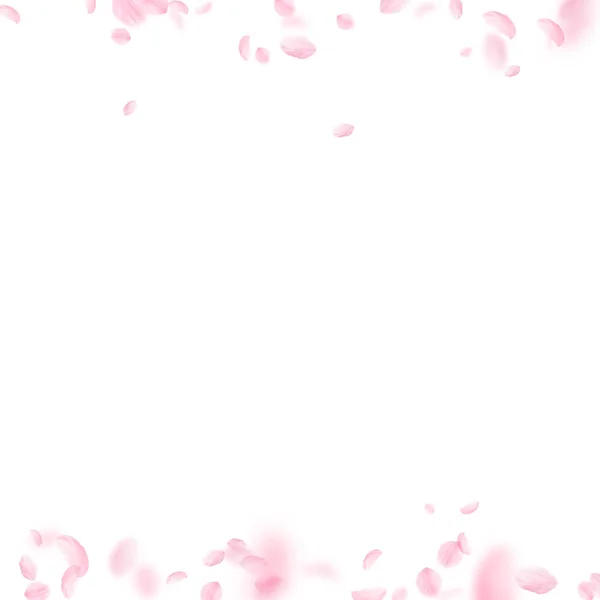 Пелюстки Сакури Падають Романтичні Рожеві Квіти Межують Летючі Пелюстки Білому — стокове фото