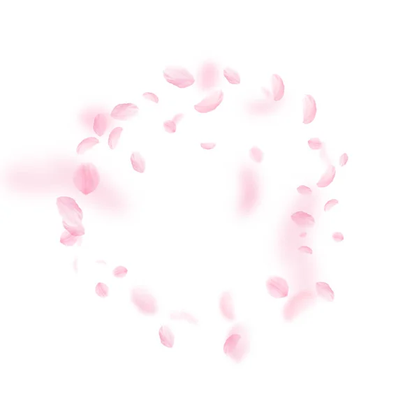 Sakura Szirmok Zuhan Romantikus Rózsaszín Virágok Keret Repülő Szirmok Fehér — Stock Fotó