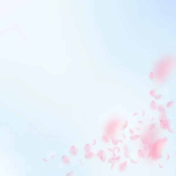桜の花びらが落ちてきた ロマンチックなピンクの花のコーナー 青い空の広場の背景に花びらを飛んで 恋愛概念 見事な結婚式の招待状 — ストック写真