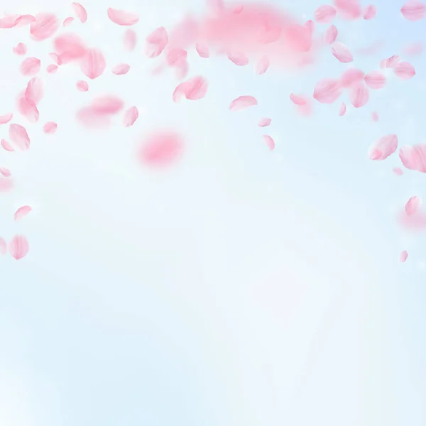 樱花花瓣落下 浪漫的粉红色花朵落下雨 在蓝天广场的背景下飞翔的花瓣 浪漫的概念 迷人的婚礼请柬 — 图库照片