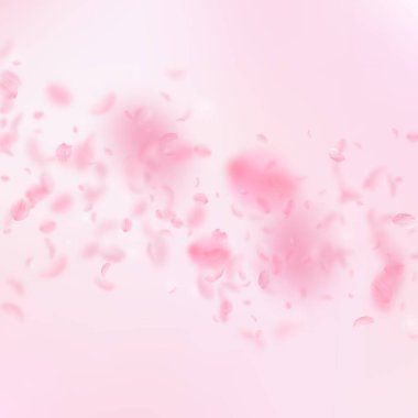 Sakura yaprakları aşağı düşen. Yağmurun romantik pembe çiçekler. Yaprakları pembe kare arka plan üzerinde uçan. Aşk, romantizm kavramı. İlginç düğün davetiyesi.