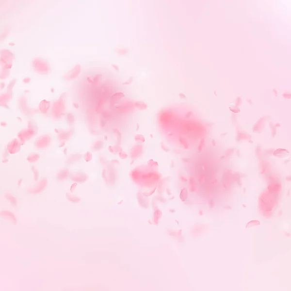 樱花花瓣落下 浪漫的粉红色花朵落下雨 在粉红色的正方形背景的飞行花瓣 浪漫的概念 有趣的婚礼请柬 — 图库照片