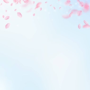 Sakura yaprakları dökülüyor. Romantik pembe çiçek gradyanı. Mavi gökyüzü kare arka planında uçan taç yaprakları. Aşk, romantizm kavramı. Eşsiz düğün davetiyesi.