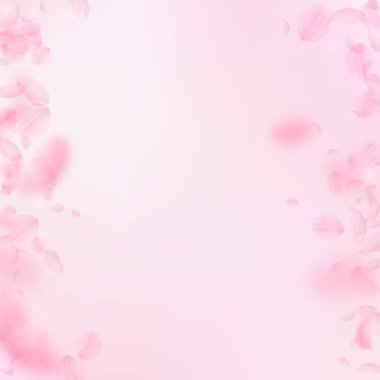 Sakura yaprakları dökülüyor. Romantik pembe çiçek sınırları. Pembe kare arka planda uçan taç yaprakları. Aşk, romantizm kavramı. Gösterişli düğün davetiyesi.
