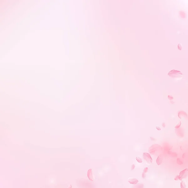 桜の花びらが落ちてきた ロマンチックなピンクの花のコーナー ピンクの四角形の背景に花びらを飛んで 恋愛概念 スタイリッシュな結婚式の招待状 — ストック写真