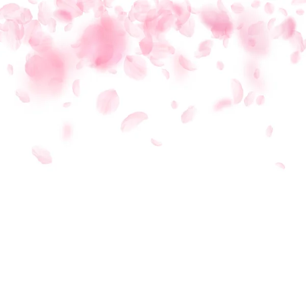桜の花びらが落ちています ロマンチックなピンクの花のグラデーション 白い正方形の背景に花びらを飛んでいます ロマンス概念 繊細な結婚式招待状 — ストック写真