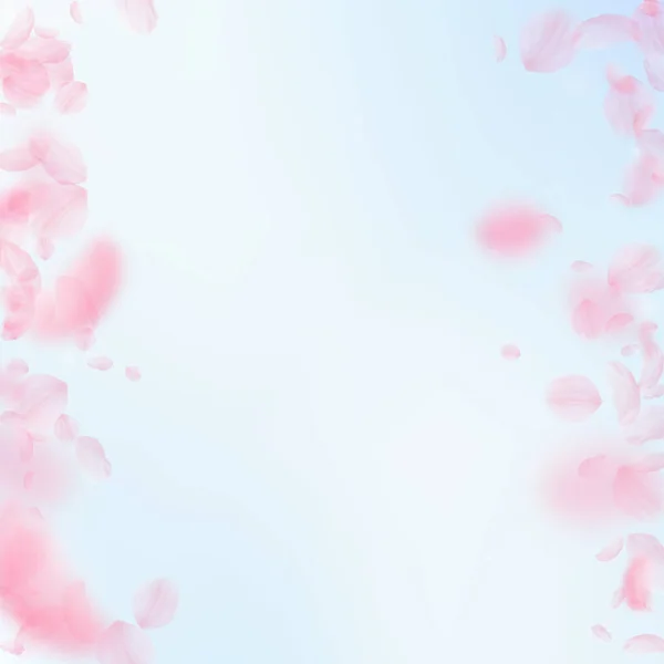 Sakura Petals Falling Romantic Pink Flowers Borders Flying Petals Blue — Stock Photo, Image