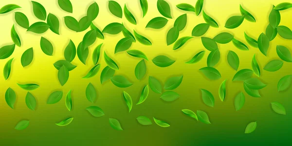 Folhas Verdes Cair Chá Fresco Folhas Puras Voando Folhagem Primavera — Fotografia de Stock