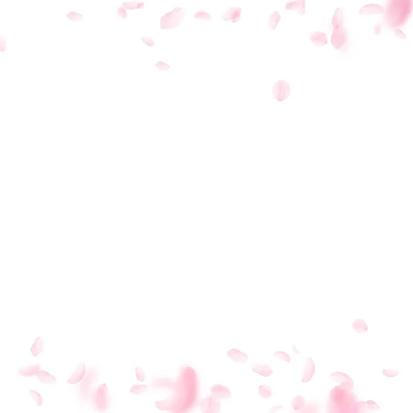桜の花びらが落ちています ロマンチックなピンクの花のボーダー 白い正方形の背景に花びらを飛んでいます ロマンス概念 注目の結婚式招待状 — ストック写真