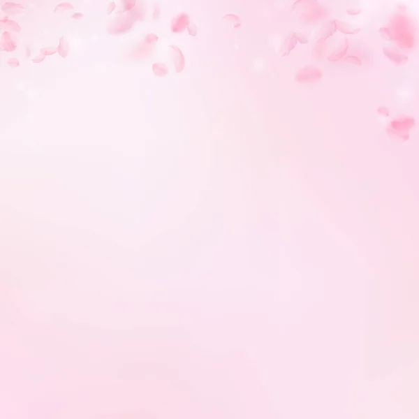 桜の花びらが落ちています ロマンチックなピンクの花のグラデーション ピンクの正方形の背景に花びらを飛んでいます ロマンス概念 素晴らしい結婚式の招待状 — ストック写真