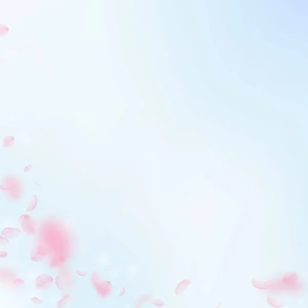 桜の花びらが落ちてきた ロマンチックなピンクの花のコーナー 青い空の広場の背景に花びらを飛んで 恋愛概念 結婚式の招待状 — ストック写真