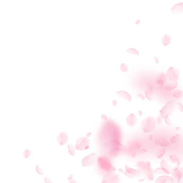 桜の花びらが落ちています ロマンチックなピンクの花のコーナー 白い正方形の背景に花びらを飛んでいます ロマンス概念 素晴らしい結婚式の招待状 — ストック写真