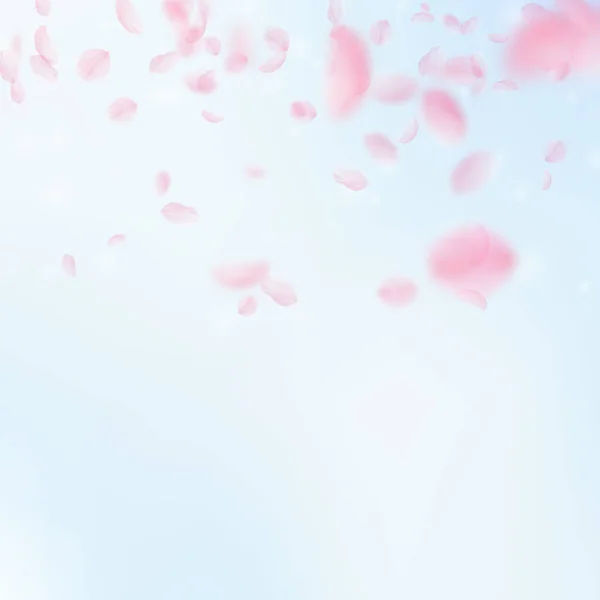 桜の花びらが落ちています ロマンチックなピンクの花のグラデーション 青い空の正方形の背景に花びらを飛んでいます ロマンス概念 息をのむよう結婚式招待状 — ストック写真