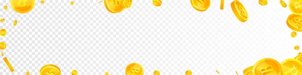 Bitcoin Monety Walut Internetowych Spada Rozrzucone Monety Btc Kryptowaluta Cyfrowe — Wektor stockowy
