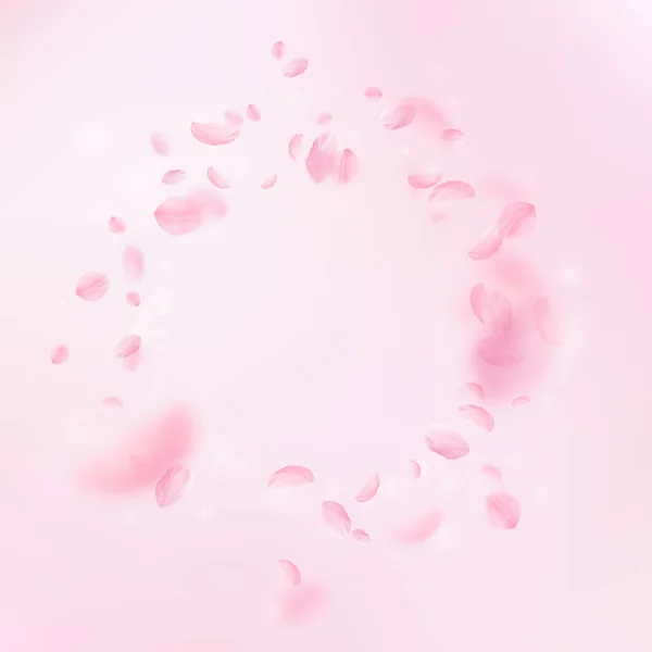 樱花花瓣飘落 浪漫的粉红花朵 粉红正方形背景上飘扬的花瓣 浪漫的概念 迷人的婚宴请柬 — 图库照片