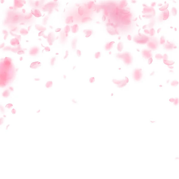 Pétalos Sakura Cayendo Flores Rosas Románticas Cayendo Lluvia Pétalos Voladores —  Fotos de Stock