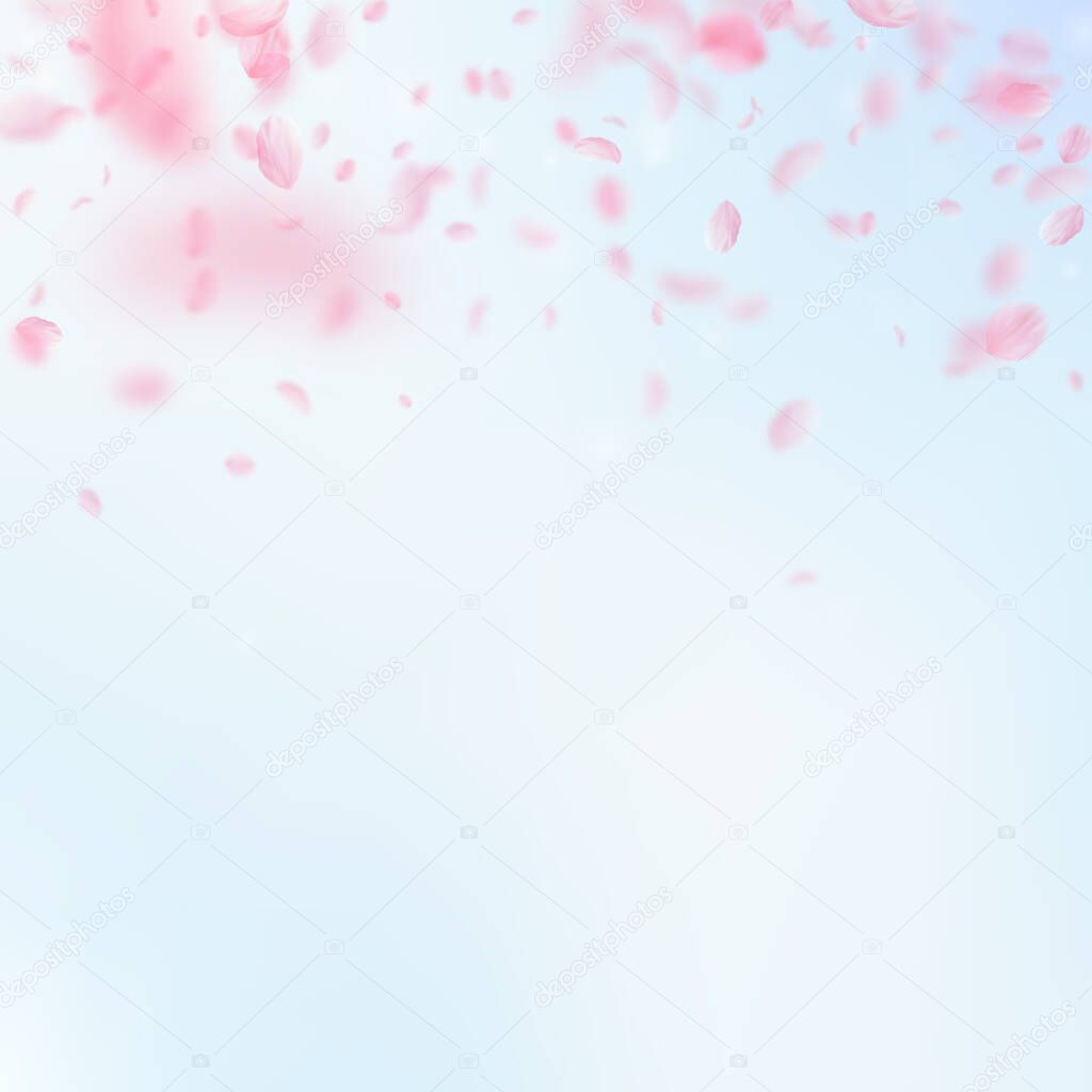 Sakura petals falling down. Romantic pink flowers gradient. Flying petals on blue sky square background. Love, romance concept. Charming wedding invitation.