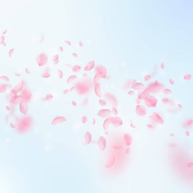 Sakura yaprakları dökülüyor. Yağmur yağan romantik pembe çiçekler. Mavi gökyüzü kare arka planında uçan taç yaprakları. Aşk, romantizm kavramı. Kusursuz düğün davetiyesi.